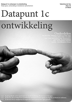 Datapunt 1c ontwikkeling